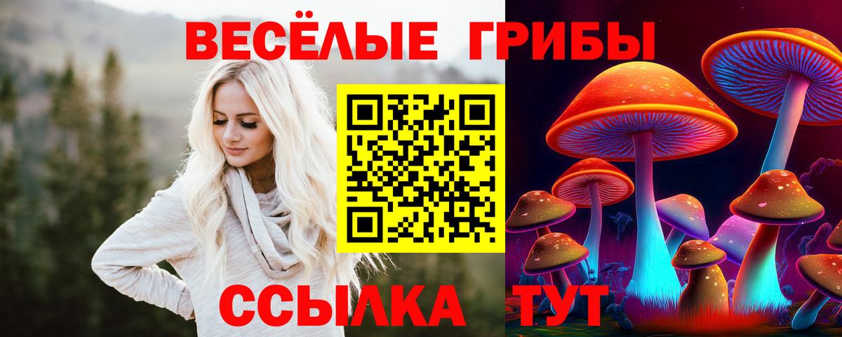 Псилоцибиновые грибы Magic Shrooms Нефтекумск